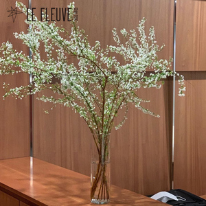星河 雪柳鲜枝家用生活鲜花室内水培鲜切植物喷雪花收到即开花