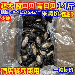新鲜青口贝大贻贝大蓝口贝大海虹淡菜冷冻半壳贝类海鲜贝类14斤