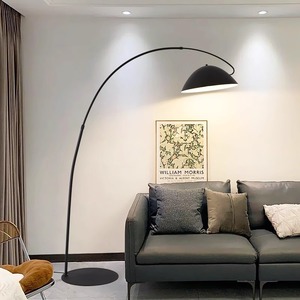 轻奢客厅落地灯沙发旁高级设计感卧室北欧创意智能钓鱼灯立式台灯