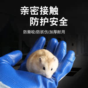 小仓鼠金丝熊用品 仓鼠防咬伤手套 鼠鼠迷你刺猬松鼠防扎防啃