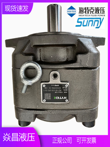 海特克内啮合齿轮泵HG2-80/100/125/160-01R-VPC SUNNY伺服油泵