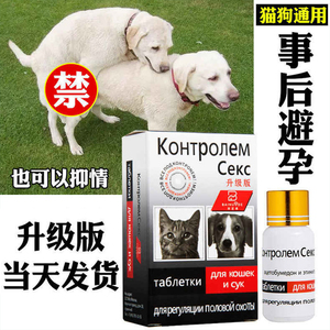 狗狗避孕药母狗长效事后紧急避孕金毛泰迪宠物犬猫咪通用抑情片