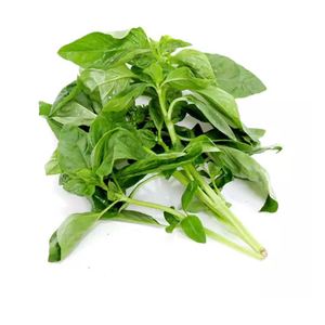 罗勒叶蔬菜