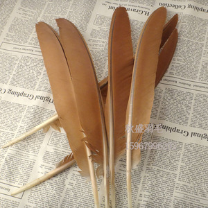 稀有天然孔雀刀翎羽毛 孔雀羽毛 孔雀边翎 羽毛笔 工艺品面具配件