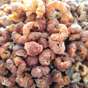 野生滇橄榄干云南