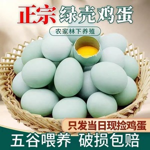 广西桂林每日现捡现发30个正宗农家散养绿壳乌鸡蛋好山好水出好蛋