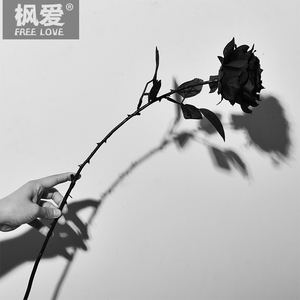 哥特黑玫瑰花拍摄道具黑色假花束jk自拍手持拍照干花枯萎装饰仿真