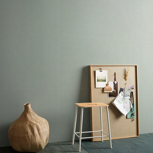 彩色莫兰迪素色瓷砖600x600餐厅商铺防滑地板砖卫生间厨房浴室砖