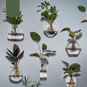 壁挂花盆挂绿植墙免打孔半壁墙壁花瓶水养水培玻璃瓶贴在墙上悬吊