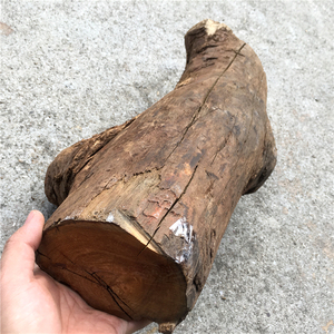 巴布亚贡木沉香手串摆件贡香木龙鳞玉化星暗夜星空原木料小料实木