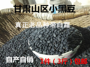 甘肃肾形小黑豆农家自产药用白霜黑小豆2023新杂粮黄芯心老品种
