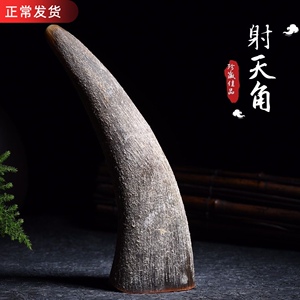 天然披毛犀射天角珍贵工艺小摆件养身仙品文玩摆件收藏送人送礼