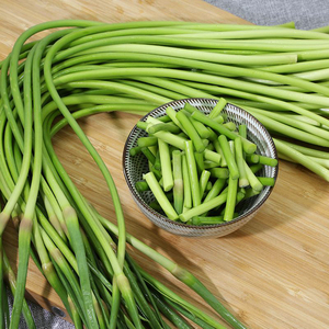 北京密云 本地农家新鲜蔬菜 嫩青蒜苔500g农家香辣大蒜黄蒜薹蒜毫