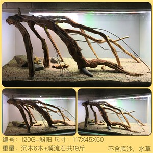 120缸大号天然沉木造景组合水族箱鱼缸ada南美造景木组合设计包邮