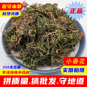 000人付款淘宝中药材小春花 250g 包邮野生 阴地蕨
