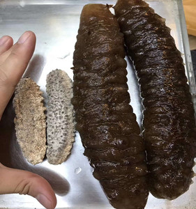 tb4241004淘宝深海摩洛哥白刺参 淡干海参干货 辽参刺王参黄肉参明