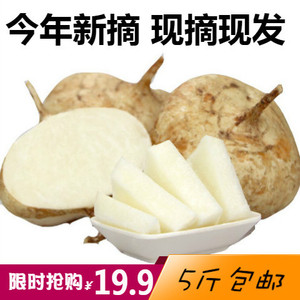新鲜蔬果水果凉薯豆薯地瓜沙葛土豆白地瓜直接生吃脆甜可炒菜 5斤