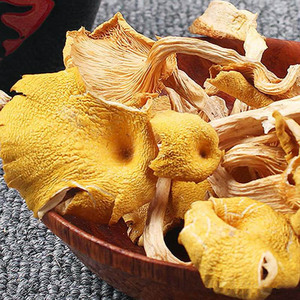 榆黄菇干货东北特产500g黄蘑金顶菇鸡油黄菌当年山珍蘑菇黄金菇