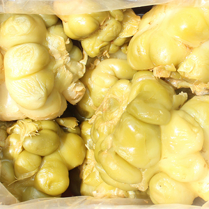 绿色腌制榨菜头有机蔬菜新鲜农家自种青菜头菜疙瘩菜泡菜泡菜原料