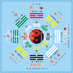 231养生馆医疗八卦图 周易易经八卦图 中医脏腑养生装饰画