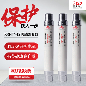 包邮银丝XRNT1-12KV/10-16-20-25-40A高压高分断限流熔断器SDLAJ