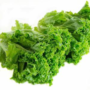 新鲜散叶生菜 珊瑚菜 绿毛生菜西餐沙拉寿司料理即食健身食材250g