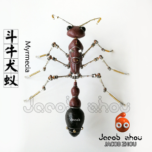 牛头犬蚁