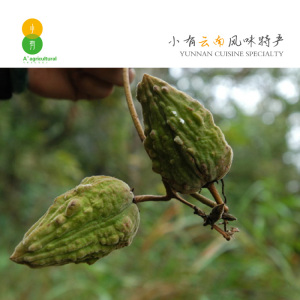 桥滇青果克地佬野生咳地佬干果果脯蜜饯云南腾冲特产野果子7人付款6