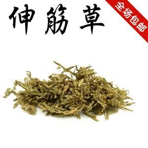 中药材伸筋草 舒筋草 筋骨草 石松 狮子尾 新货500克2