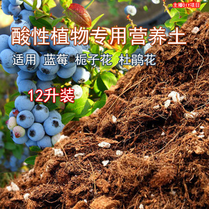 【酸性土】蓝莓专用营养土栀子花
