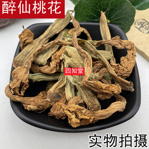 广览书阁淘宝正版 家有仙师太妖娆:桃花醉 漓云 著 9787539649047
