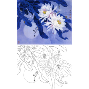 工笔画白描底稿令箭荷花60*50白描山水人物花鸟线描临摹实物画稿