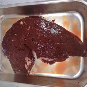 新鲜牛肝500g 生牛肝脏 猫咪狗狗自制食材 整个牛肝切块 牛肝内脏