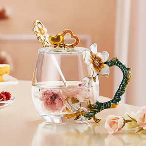 诺诗曼小清新透明玻璃杯女生漂亮水杯女时尚个性精致网红款夏季