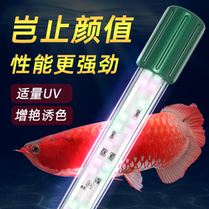 sqg鱼缸灯led灯防水观赏灯水族箱用照明水草灯龙鱼灯管增艳潜水灯