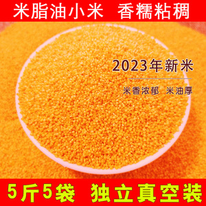 新米5斤黄小米 2023年新米陕北米脂油小米香糯粘稠孕妇宝宝小黄米