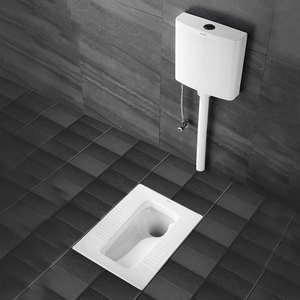 箭牌蹲便器蹲坑式便盆卫生间便池便盆家用防臭蹲厕水箱套餐ald515