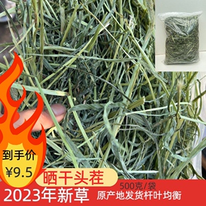 23新草晒干提摩西干草2斤包邮北提兔子龙猫荷兰猪牧草岷县主草