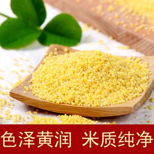 黄小米粥香糯粘稠米油新米沂蒙山特产自产食用食用小米新小米山东
