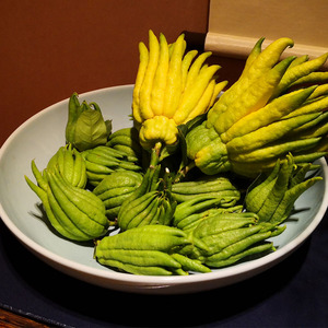 新鲜佛手