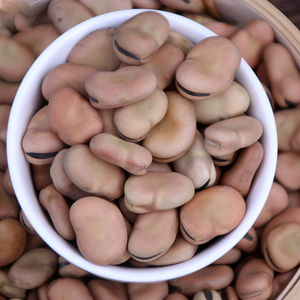 2022新货云南干货蚕豆农家自种生蚕豆罗汉豆胡豆白皮蚕豆3件包邮