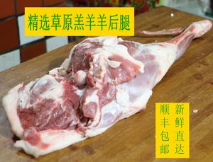 坝上羔羊羊后腿羊腿白条羊羊肉卷羊肉羊蝎子羊小腿羊排骨羊肋骨