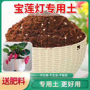宝莲灯花专用土有机盆栽椰糠泥炭基质植料种植土养花通用型营养土