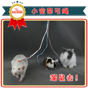 花枝鼠神器仓鼠豚鼠兔子牵引绳带溜鼠绳训练绳链子玩具用品