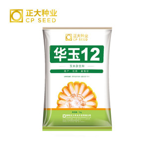 正大华玉12玉米种子 脱水快轴细产量高 两袋包邮