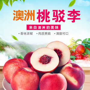 现货澳洲进口新鲜大油桃脆甜水果桃驳李孕妇水果桃子非水蜜桃3斤