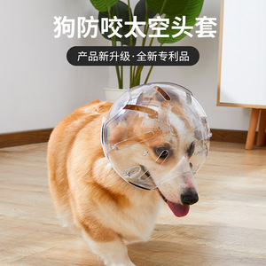 狗狗太空头套防咬透气小型犬用头罩太空头罩宠物项圈塑料猫咪头罩