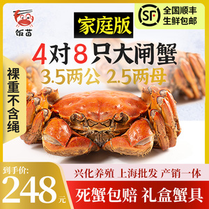 8只现货大闸蟹鲜活水产兴化红膏螃蟹3.5公2.5母礼盒蟹具顺丰包邮