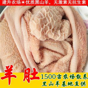 农场放养黑山羊东山羊新鲜羊杂碎羊下水羊内脏生羊肚羊胃毛肚