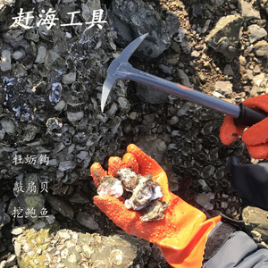 赶海工具挖牡蛎撬生蚝挖蚬子采集礁石贝类敲鲍鱼扇贝小镐海蛎子钩
